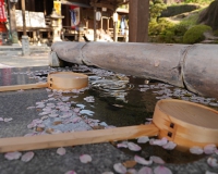 龍光山釜滝薬師金剛寺