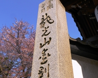 龍光山 釜滝薬師金剛寺